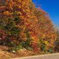 Discovering the Hidden Treasures of Bookstores in Northeastern North Carolina