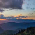 Exploring the Great Outdoors: Bookstores in Northeastern North Carolina