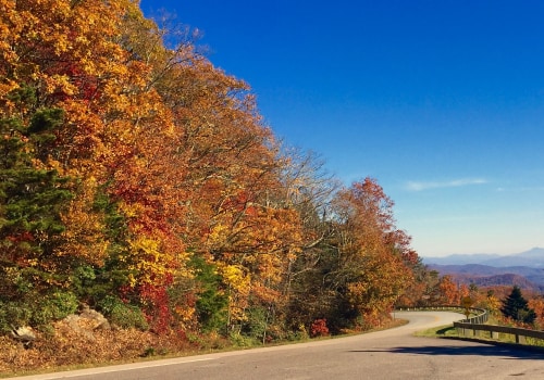 Exploring the Most Popular Bookstores in Northeastern North Carolina